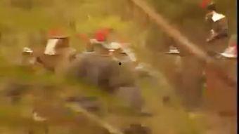 群星会在线观看,揭秘群星会精彩瞬间 第1张 群星会在线观看,揭秘群星会精彩瞬间 第1张